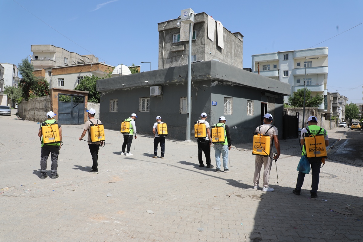  Cizre Belediyesi İlaçlama Birimi olarak; 20 personel, 6 araç, 5 ULV cihazı, 1 holder cihazı ve 15 sırt pompası ile ilçemiz genelinde ilaçlama çalışmaları aralıksız sürdürülmektedir.