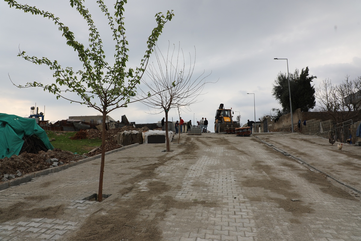 Dicle ve Konak Mahallelerinde Kaldırım ve Parke Taşı Çalışmaları Sürüyor