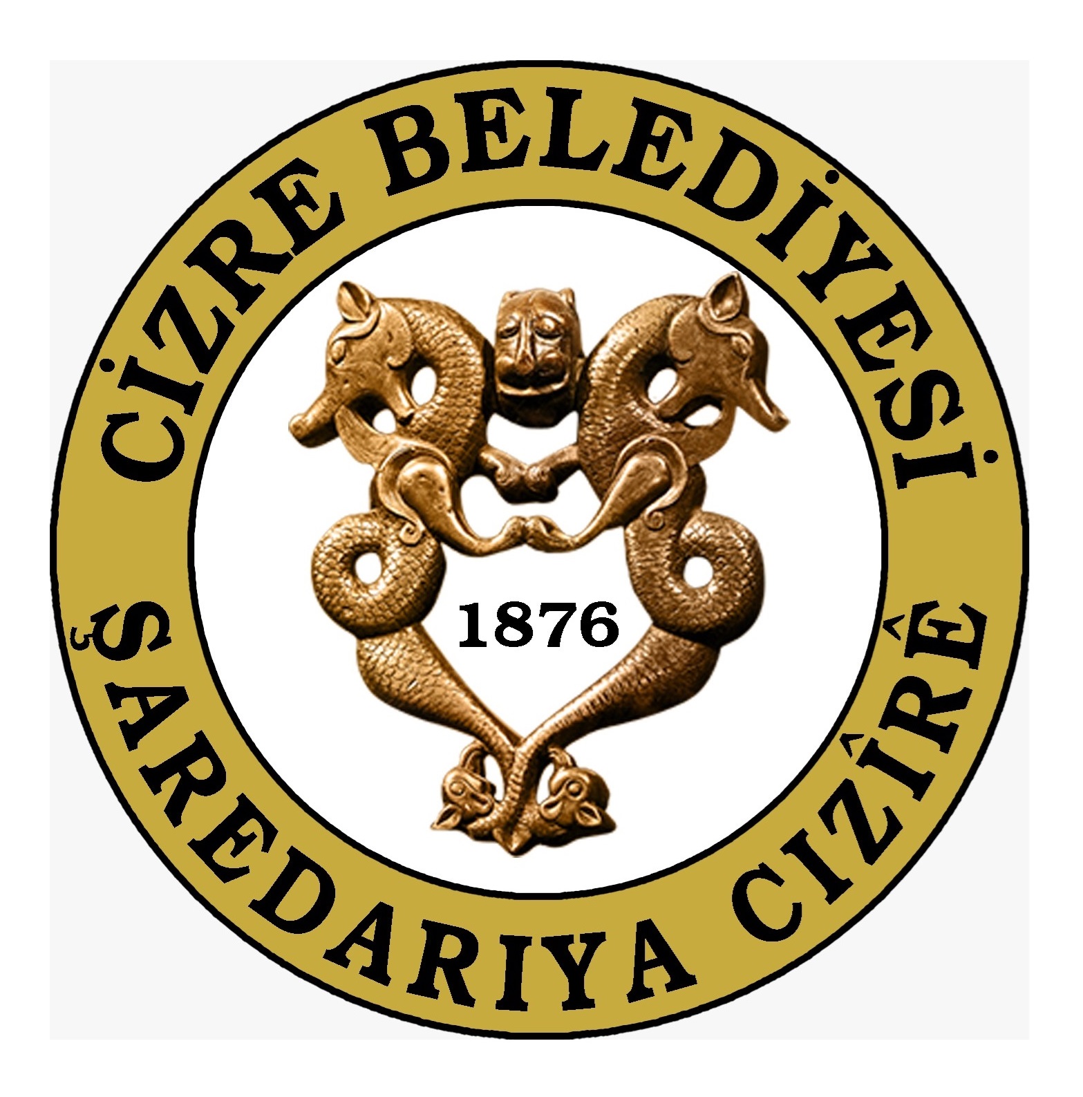 Cizre Belediye Başkanlığı - Mahalli İdareler Görevde Yükselme  ve Unvan Değişikliği Sözlü Sınav Sonucu  