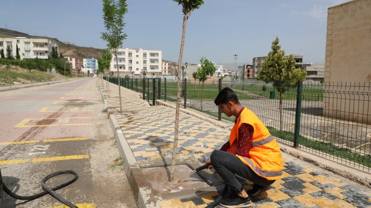 Fidanlar Düzenli Olarak Sulanıyor. 