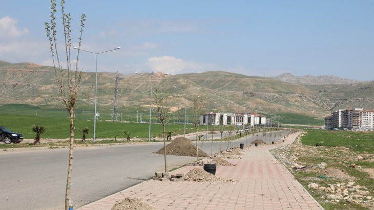 Belediyemiz Ağaçları Toprakla Buluşturmaya Devam Ediyor.