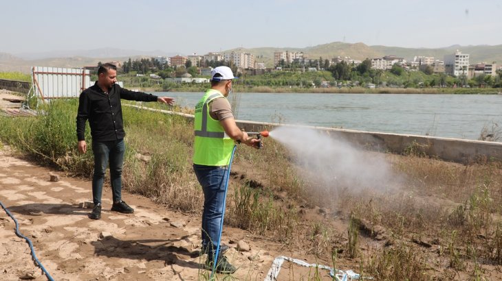  Cizre Belediyesi İlaçlama Birimi olarak; 20 personel, 6 araç, 5 ULV cihazı, 1 holder cihazı ve 15 sırt pompası ile ilçemiz genelinde ilaçlama çalışmaları aralıksız sürdürülmektedir.
