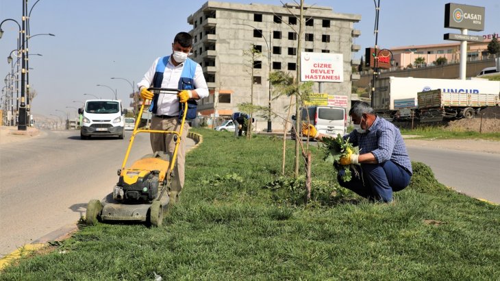 İlçemiz Geneli Orta Refüjlerde Çim Biçme ve Bakım Çalışması