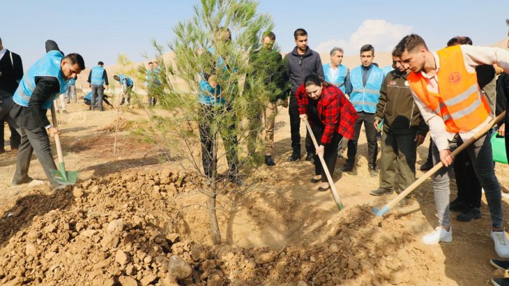 Milli Ağaçlandırma Gününde Cizre’de 11 Bin fidan toprakla buluştu