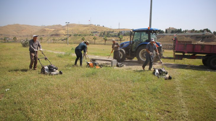 Belediyemiz Park ve Bahçeler Müdürlüğü ekipleri, Mem u Zin Parkında çim biçme ve genel temizlik çalışması gerçekleştirdi.