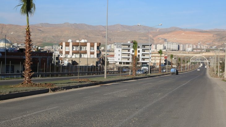 Daha Yeşil Bir Cizre İçin 6 Bin 280 Adet Ağaç Diktik.