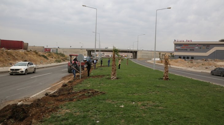 Yeni Şırnak yolunda orta refüjlerde çevre düzenleme ve çimlendirme çalışması