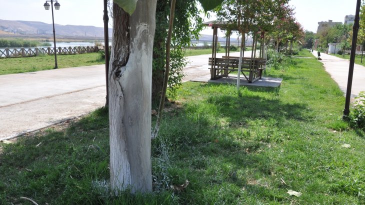 Parklarımızda çevre düzenleme çalışması