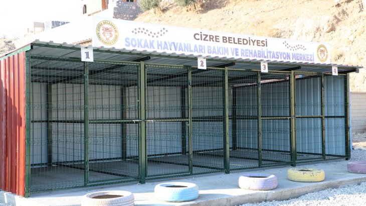 Belediyemizden Sahipsiz Hayvanlar İçin Geçici Bakımevi